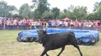 Féria 2018